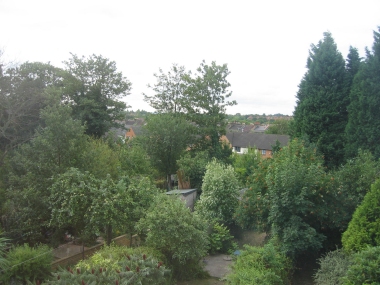 View from top bedroom